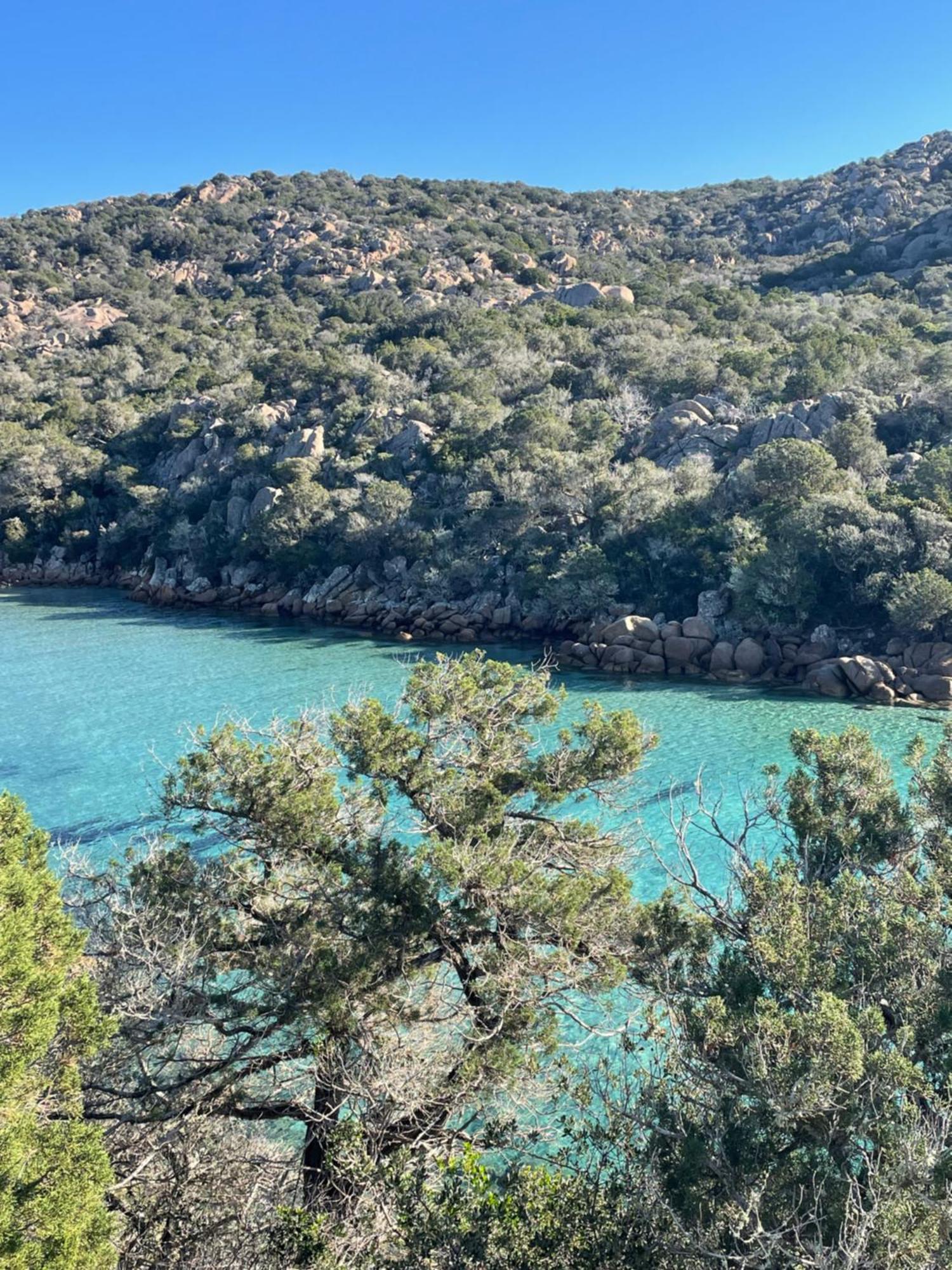 Camping Milella Propriano (Corsica) Exterior foto
